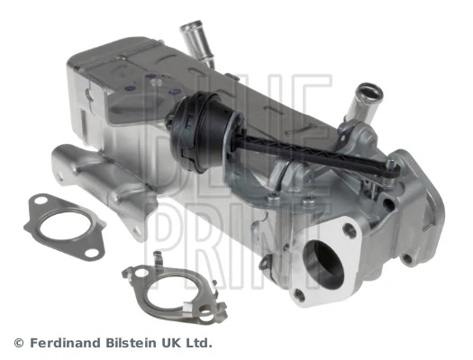 EGR Module